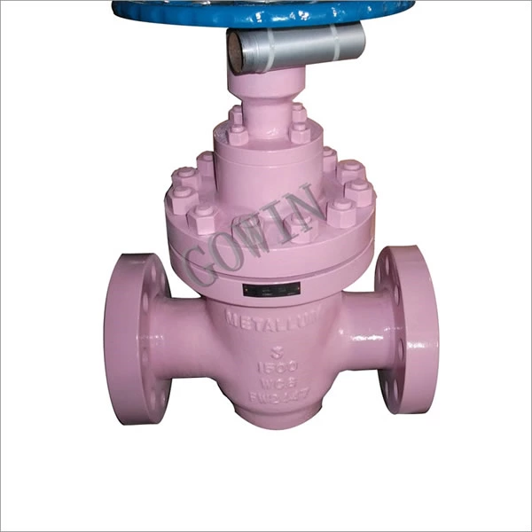 The Maintenance Methods for Gate Valves