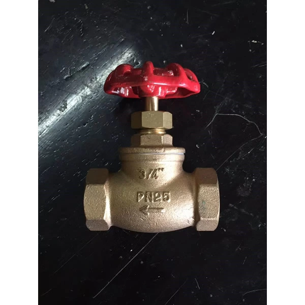 Brass globe Valves