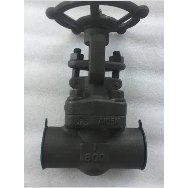 Cast Steel Gate Valve