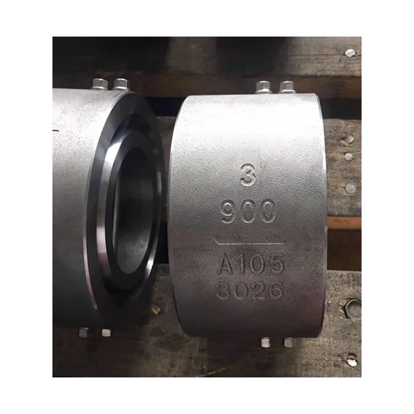 Cast Steel Wafer Dual Plate Check Valve