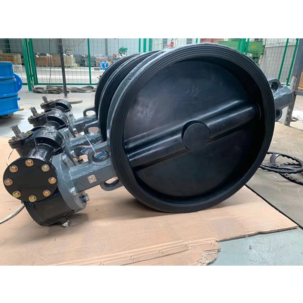 Centric Construction Butterfly Valve