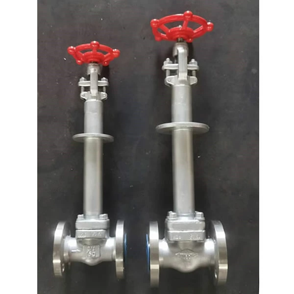 Cryogenic Globe Valve