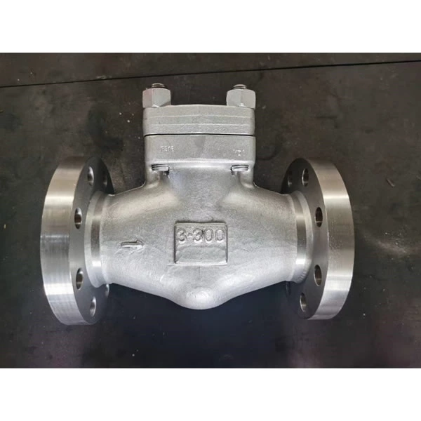 Lift Type Check Valve