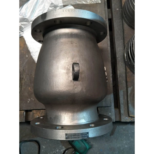 Nozzle Check Valve